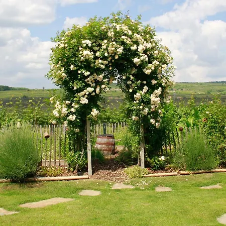 Kraut & Ruabn - Stadl Engabrunn