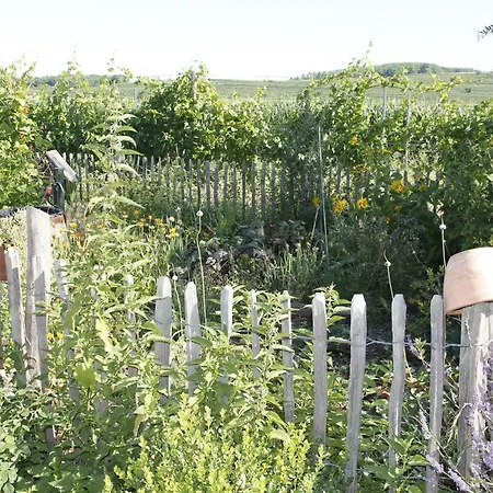 Kraut & Ruabn - Stadl