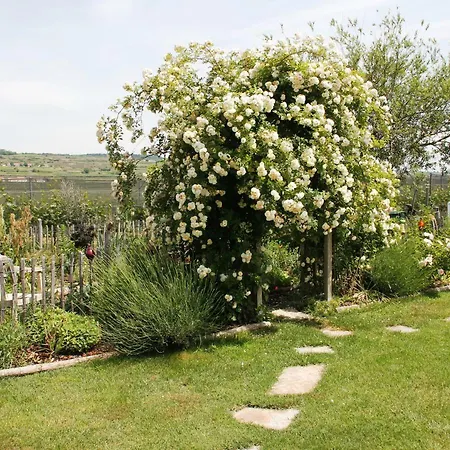 Domek alpejski Kraut & Ruabn - Stadl Engabrunn