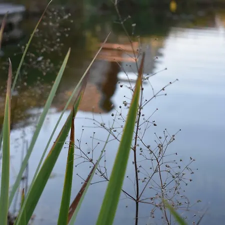 Kraut & Ruabn - Stadl Domek alpejski Engabrunn