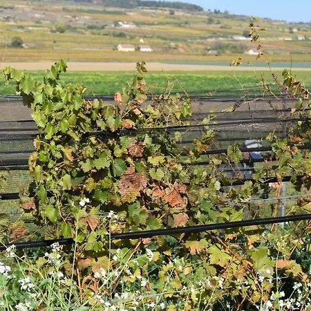 Domek alpejski Kraut & Ruabn - Stadl Engabrunn