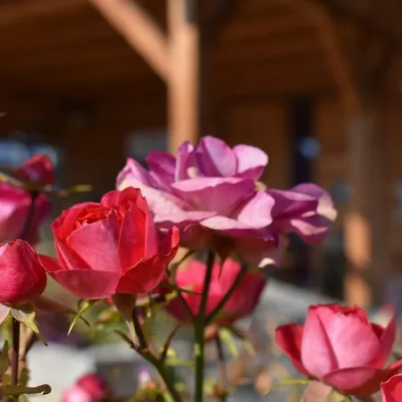 Domek alpejski Kraut & Ruabn - Stadl *