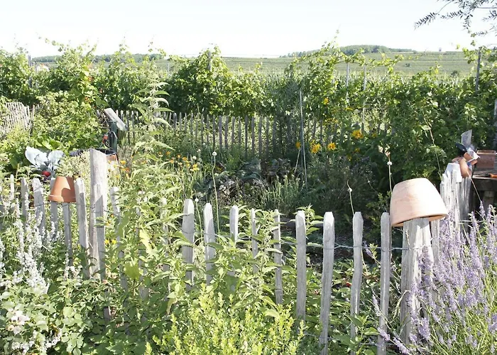 Kraut & Ruabn - Stadl