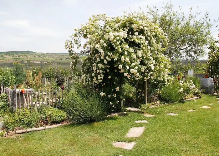 Σαλέ Kraut & Ruabn - Stadl Engabrunn