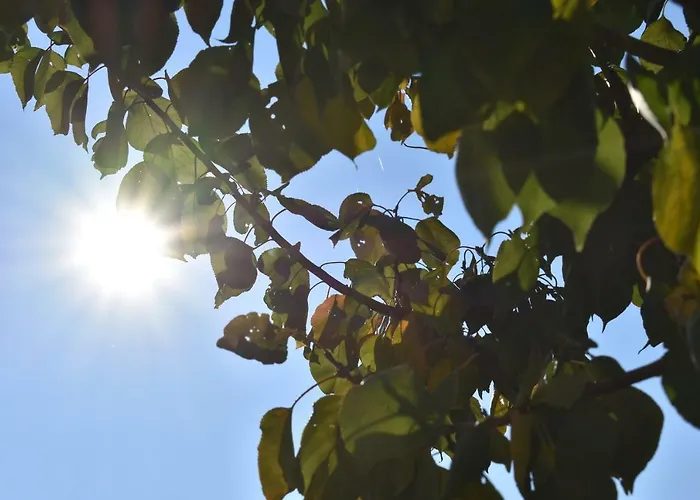 Σαλέ Kraut & Ruabn - Stadl Engabrunn