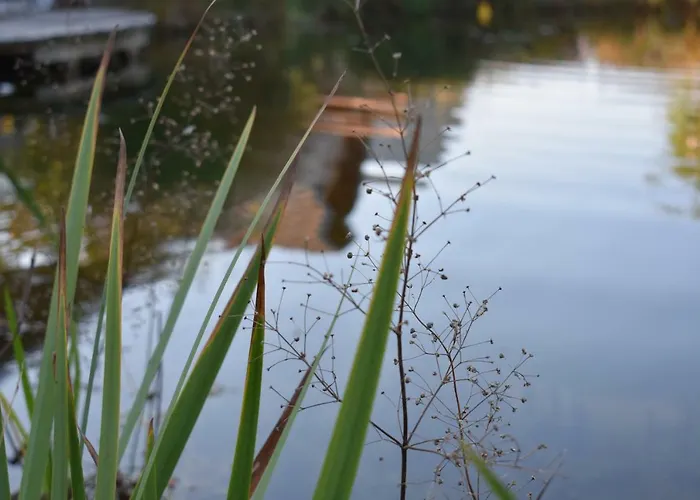 Kraut & Ruabn - Stadl Σαλέ Engabrunn