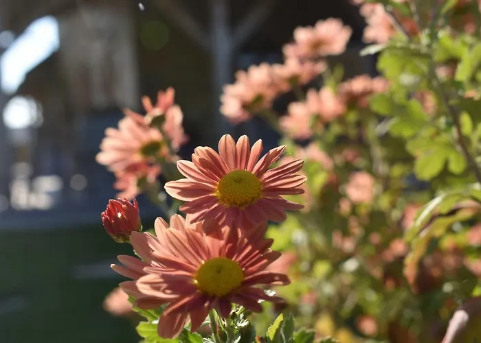 Kraut & Ruabn - Stadl