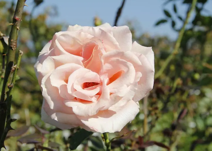 Kraut & Ruabn - Stadl * Engabrunn