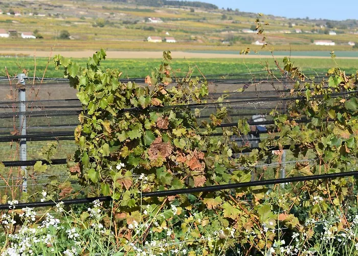 Chalet Kraut & Ruabn - Stadl Engabrunn