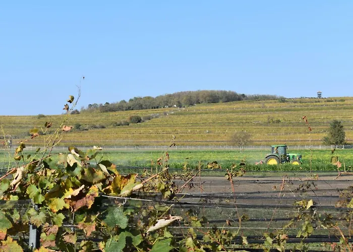 Kraut & Ruabn - Stadl Chalet Engabrunn