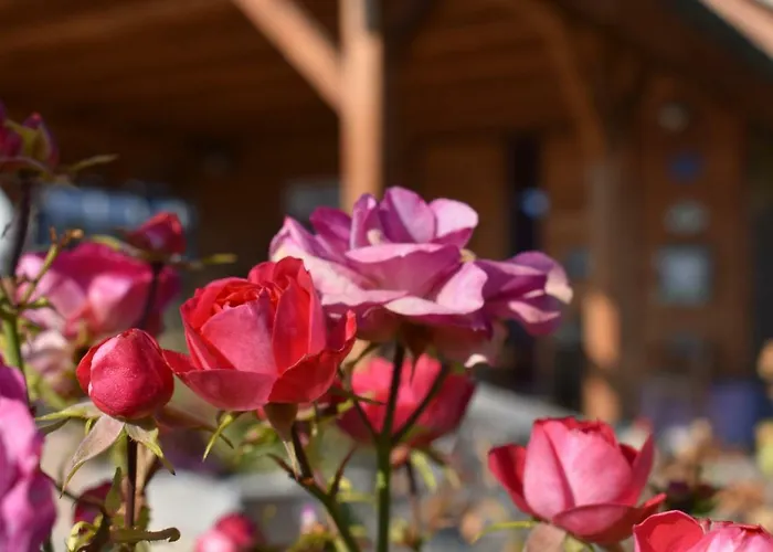 Chalet Kraut & Ruabn - Stadl *